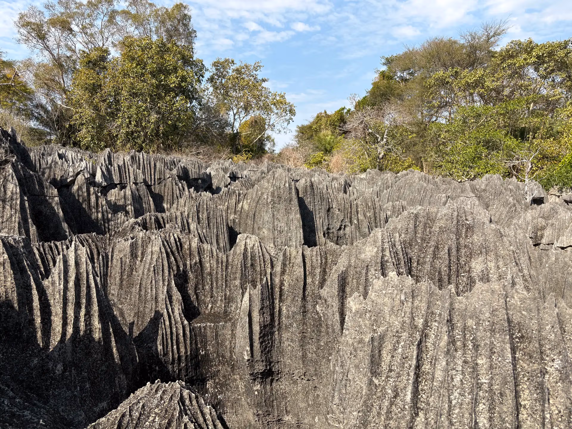 Petit Tsingy Forest Walk