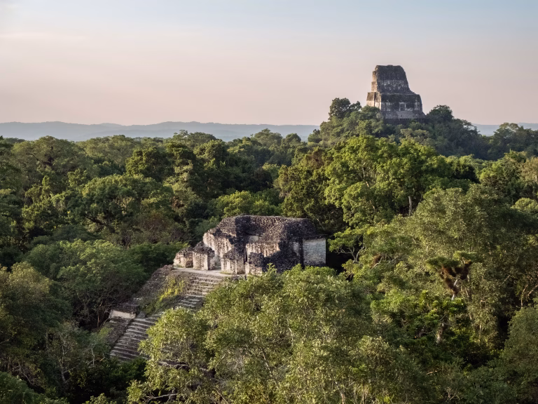 Ancient Mayan stone temples emerging from dense jungle canopy in El Mirador archaeological site
