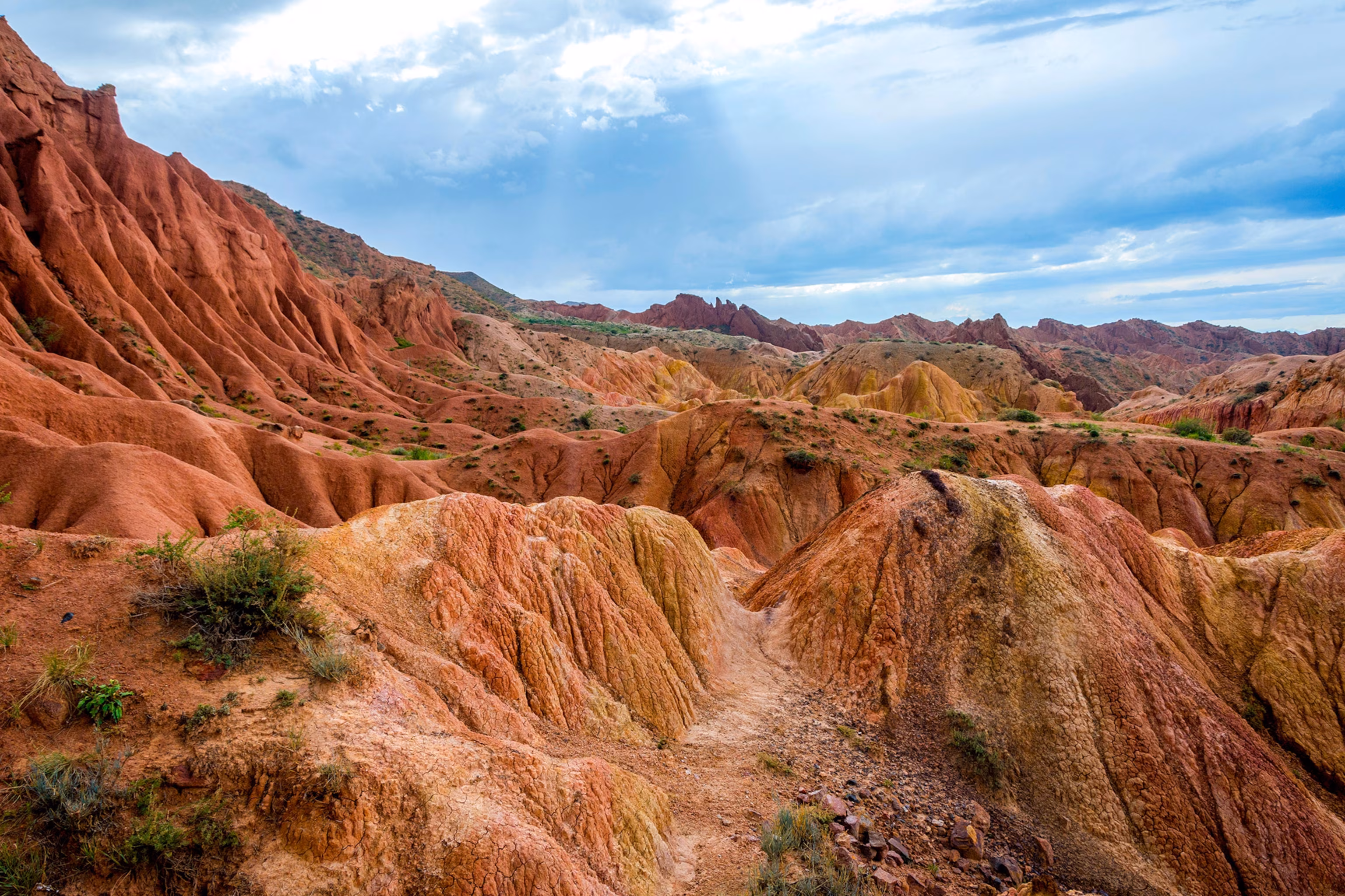 Where Ancient Seas Became Stone